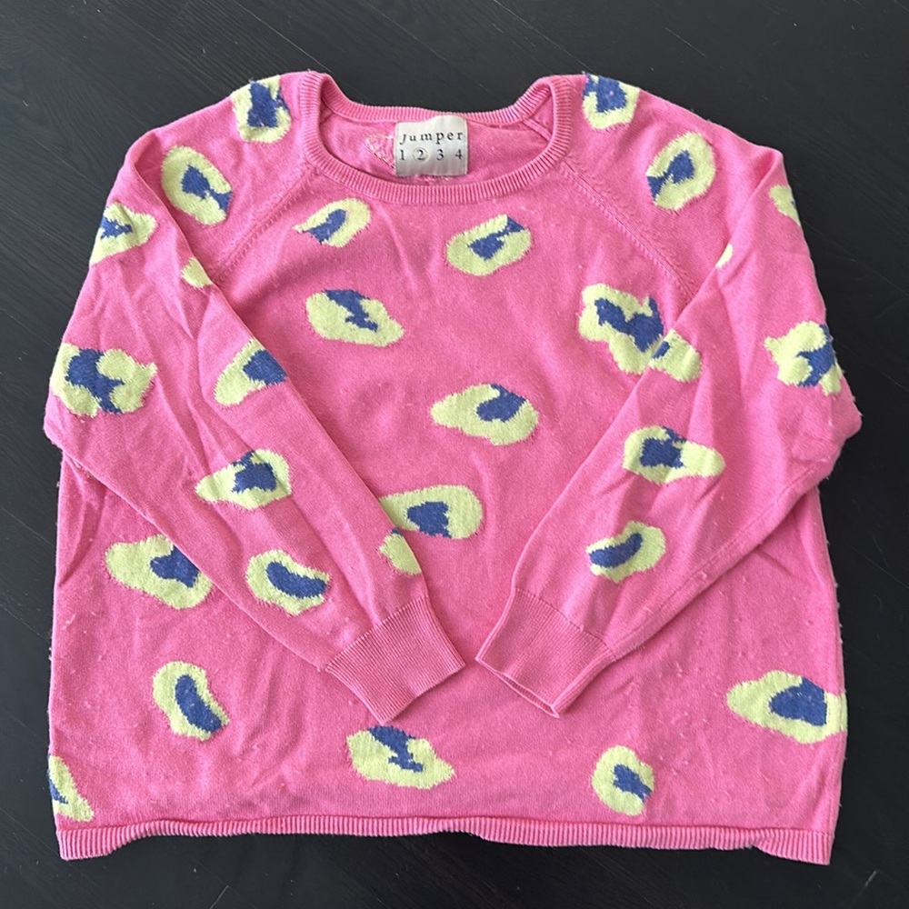 Jumper 1234 Pink and Blue/Yellow Animal Print-ish Sweater - Picture 5 of 6